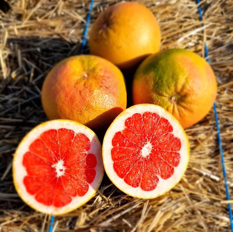 Pompelmo Rosa Bio 1kg
