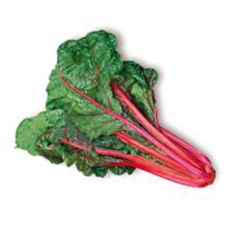 Bieta Rossa Bio 1 Pz