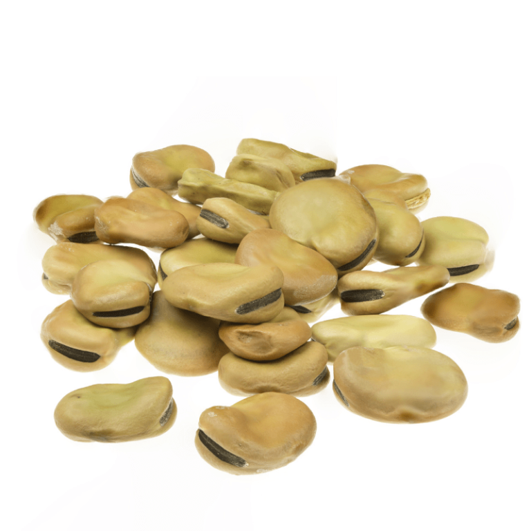 Fave Secche con Guscio Bio 500gr